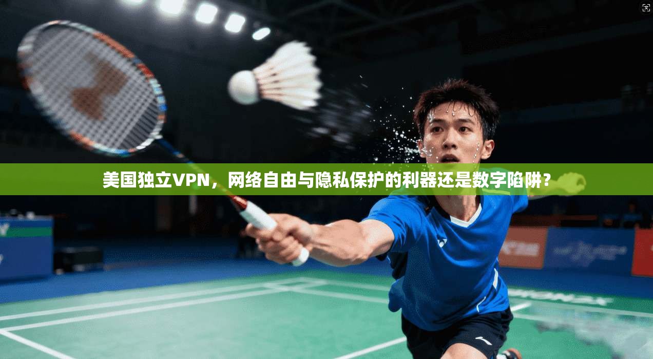 美国独立VPN，网络自由与隐私保护的利器还是数字陷阱？