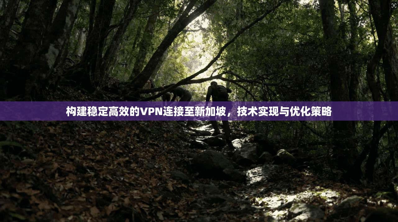 构建稳定高效的VPN连接至新加坡，技术实现与优化策略