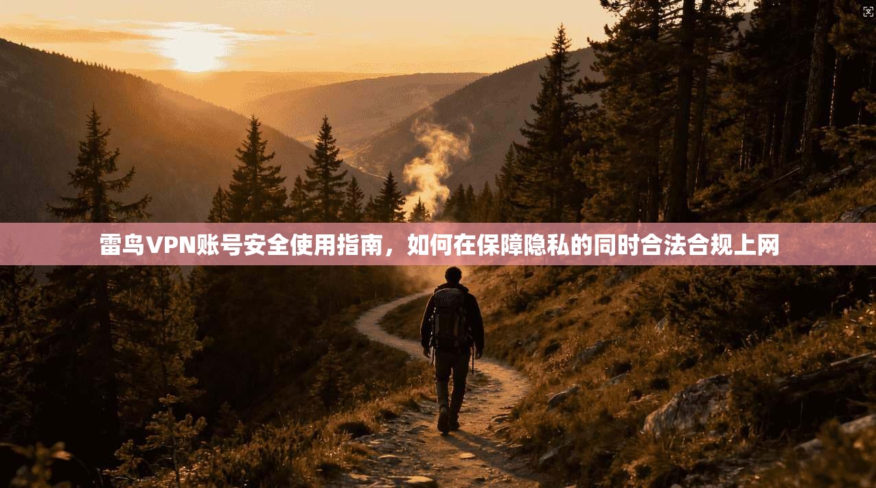 雷鸟VPN账号安全使用指南，如何在保障隐私的同时合法合规上网