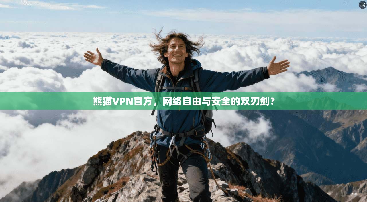 熊猫VPN官方,网络自由与安全的双刃剑?