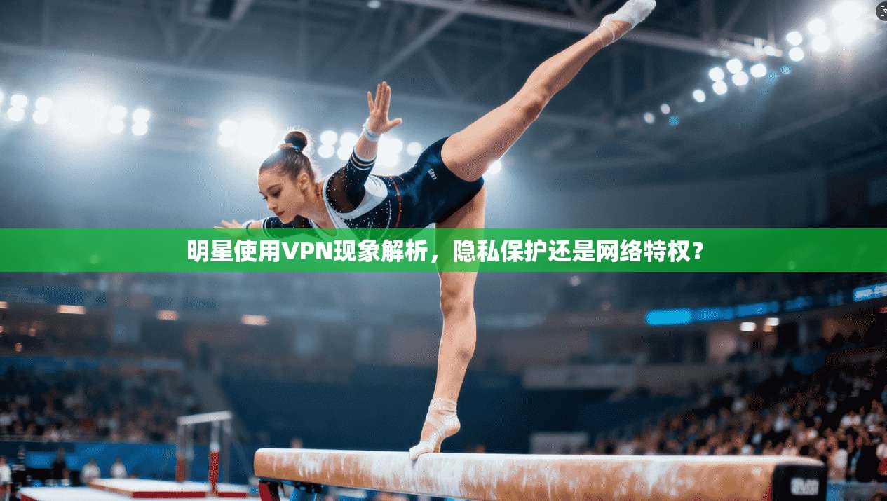 明星使用VPN现象解析,隐私保护还是网络特权?
