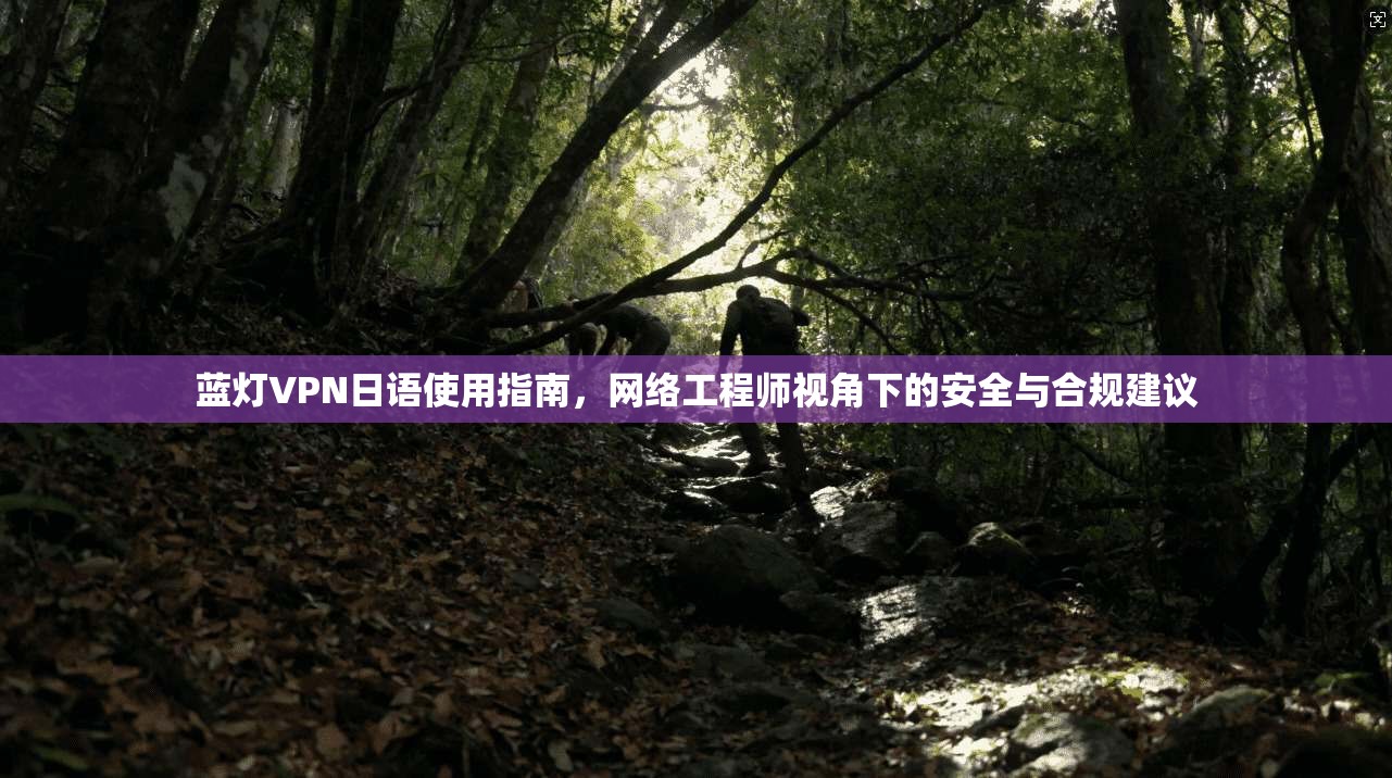 蓝灯VPN日语使用指南,网络工程师视角下的安全与合规建议