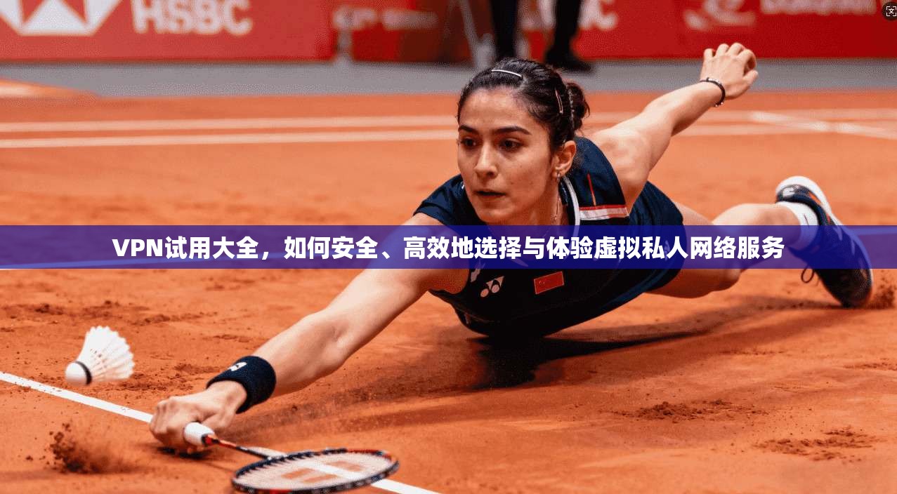 VPN试用大全,如何安全、高效地选择与体验虚拟私人网络服务