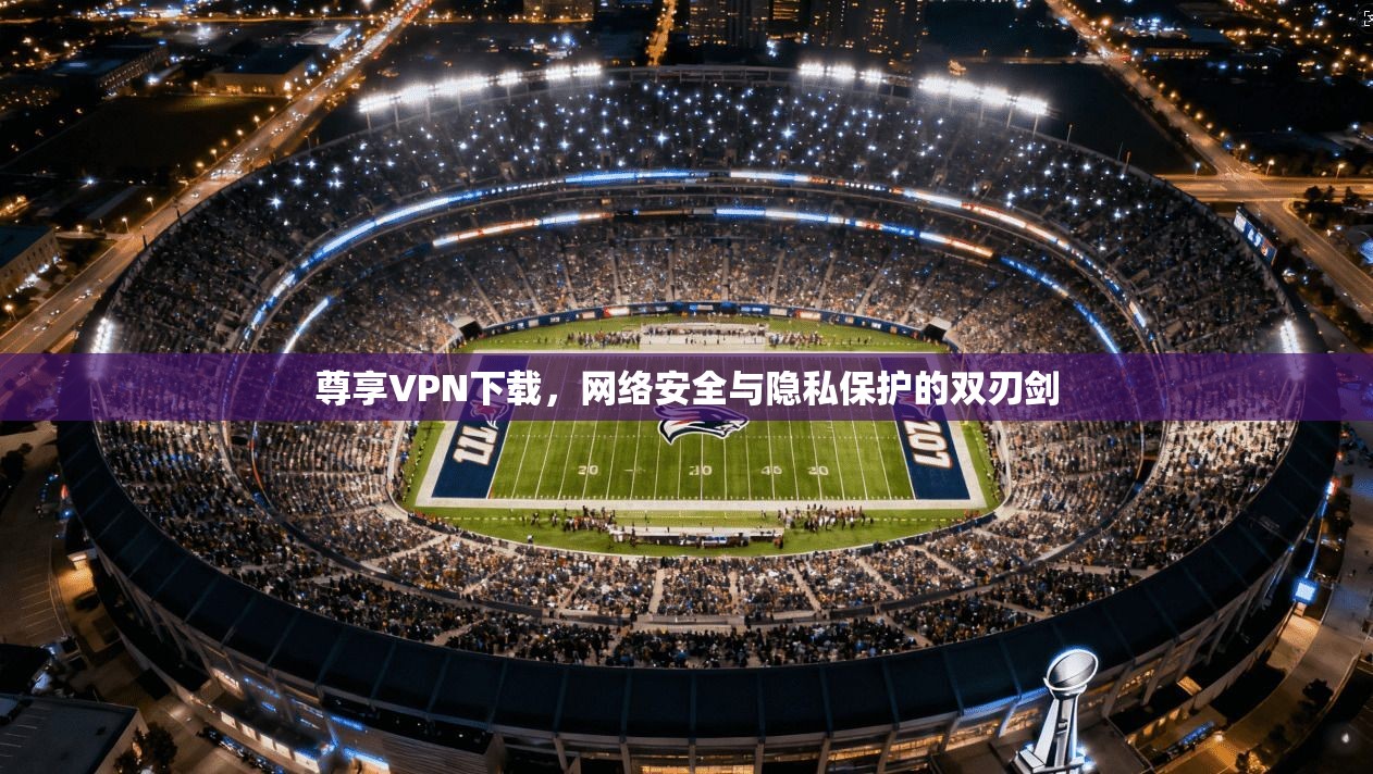 尊享VPN下载，网络安全与隐私保护的双刃剑