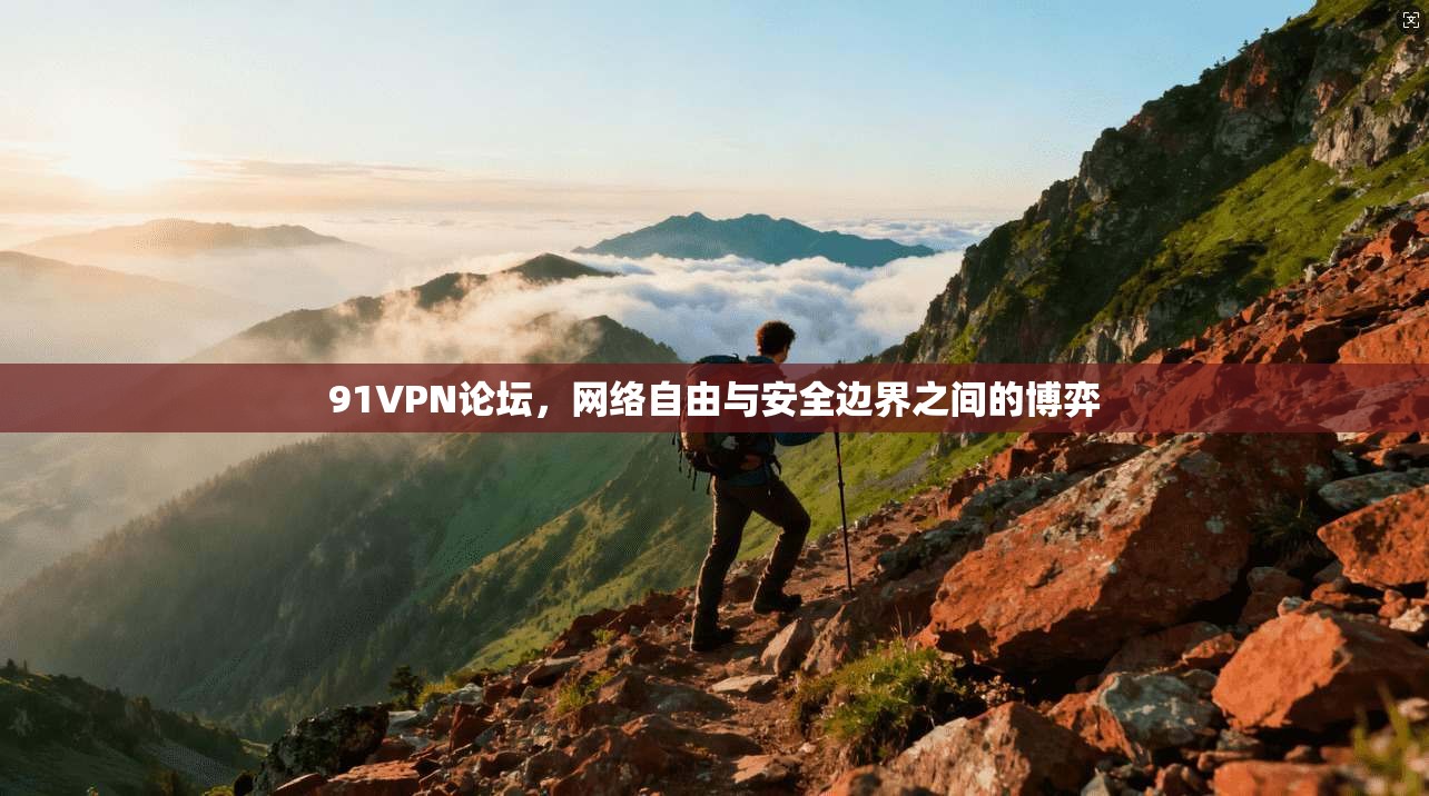 91VPN论坛，网络自由与安全边界之间的博弈