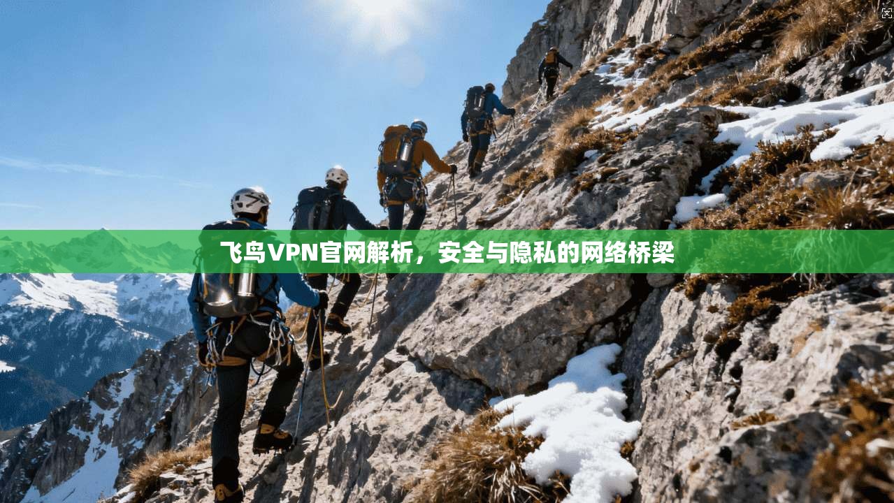 飞鸟VPN官网解析，安全与隐私的网络桥梁