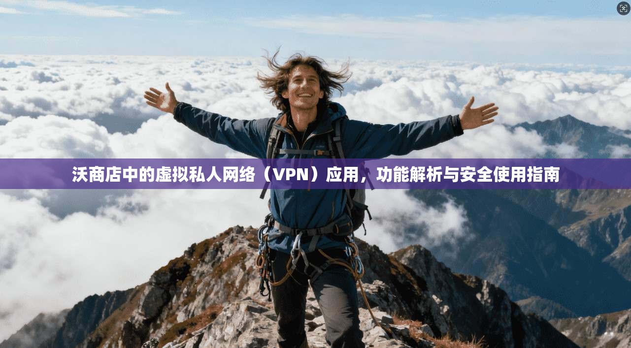 沃商店中的虚拟私人网络（VPN）应用，功能解析与安全使用指南