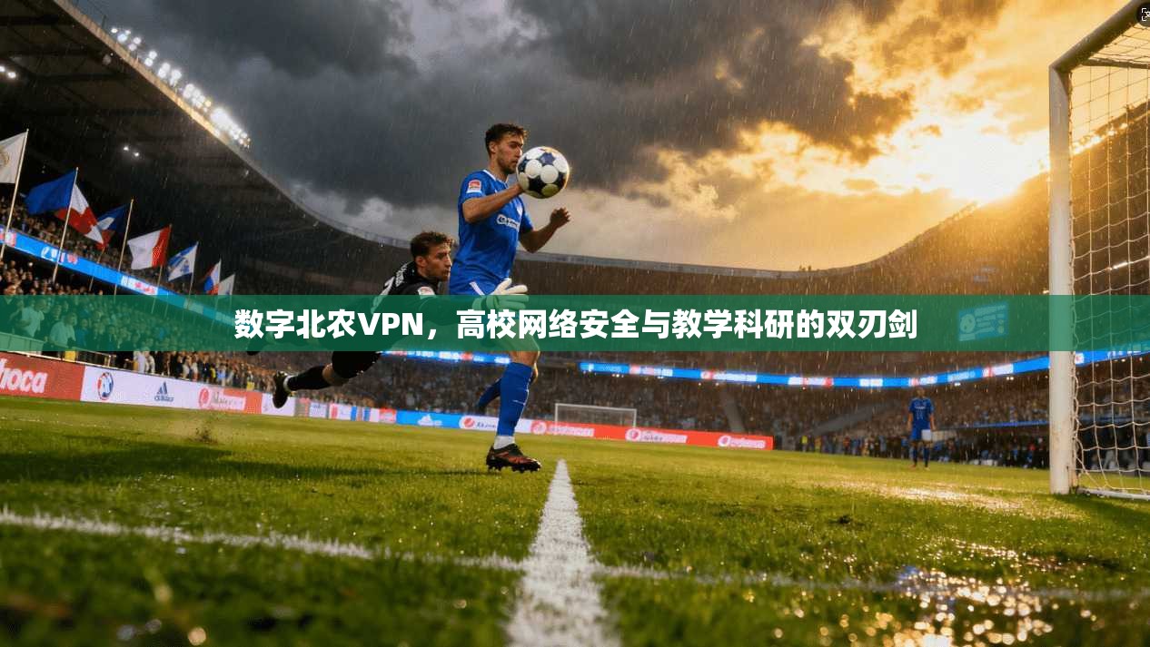 数字北农VPN，高校网络安全与教学科研的双刃剑