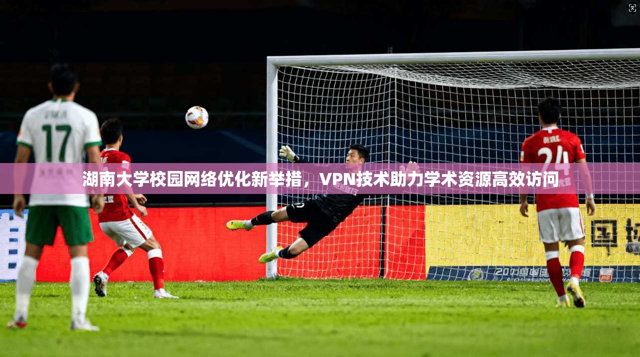 湖南大学校园网络优化新举措，VPN技术助力学术资源高效访问
