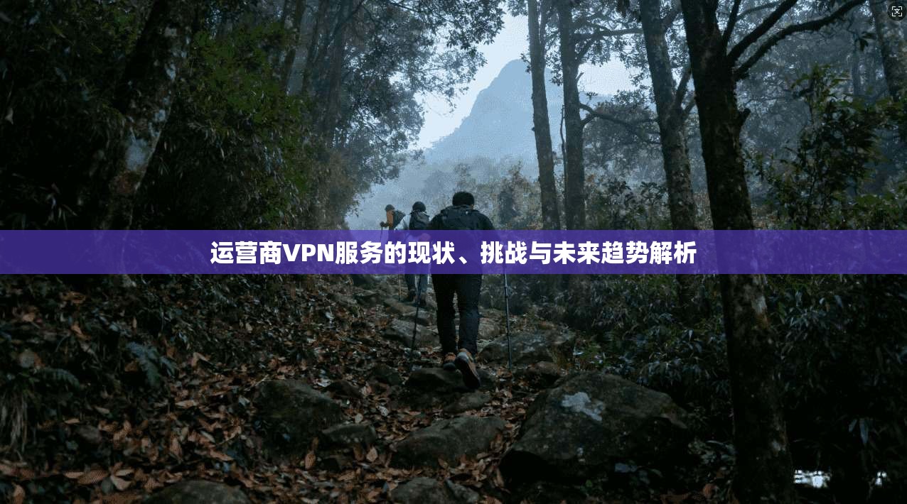 运营商VPN服务的现状、挑战与未来趋势解析