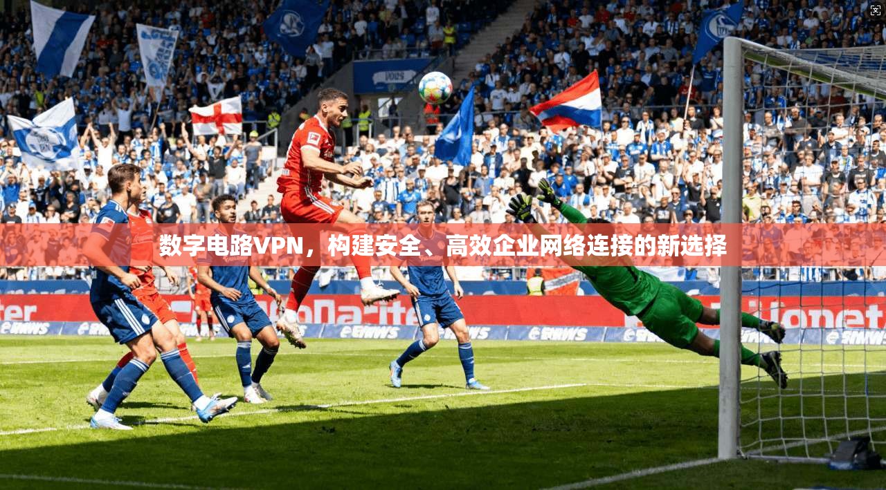 数字电路VPN，构建安全、高效企业网络连接的新选择