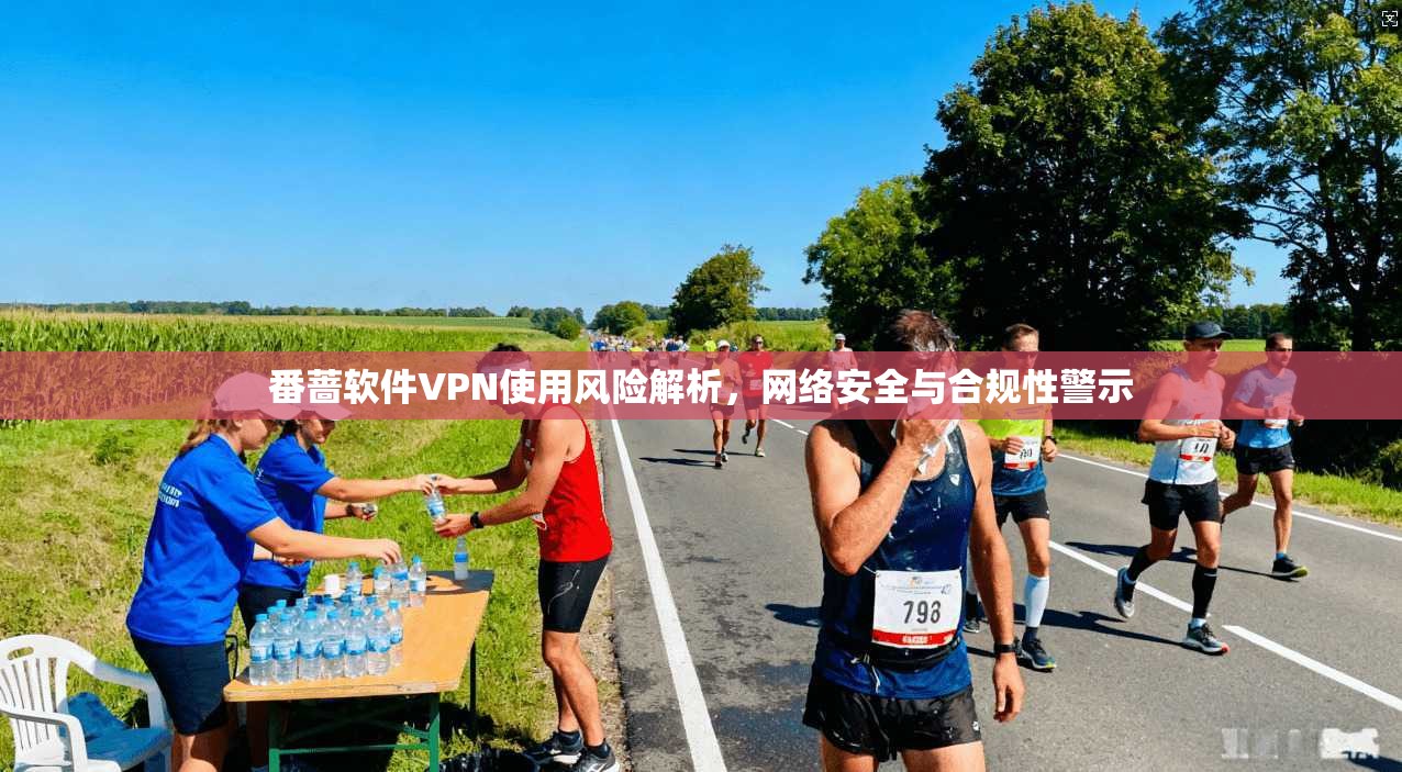 番蔷软件VPN使用风险解析,网络安全与合规性警示