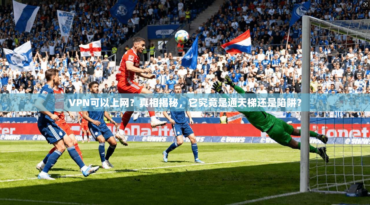 VPN可以上网?真相揭秘,它究竟是通天梯还是陷阱?