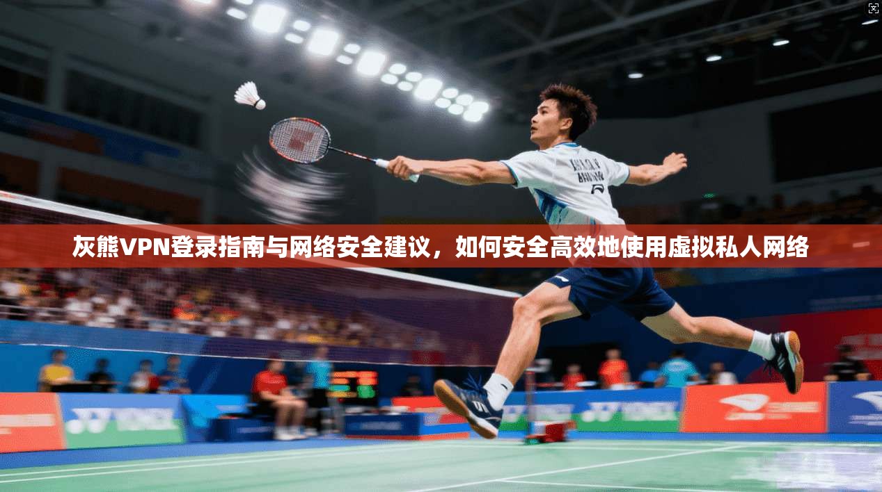 灰熊VPN登录指南与网络安全建议，如何安全高效地使用虚拟私人网络
