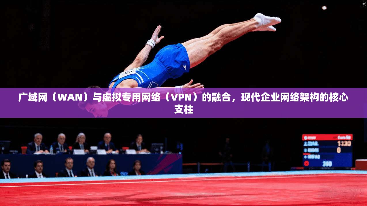 广域网（WAN）与虚拟专用网络（VPN）的融合，现代企业网络架构的核心支柱