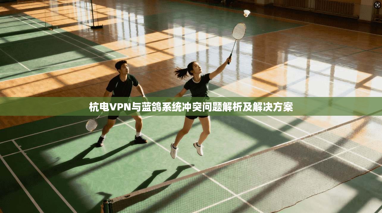 杭电VPN与蓝鸽系统冲突问题解析及解决方案