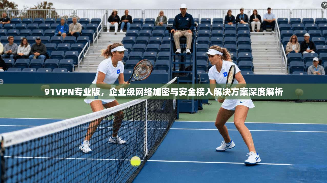 91VPN专业版，企业级网络加密与安全接入解决方案深度解析