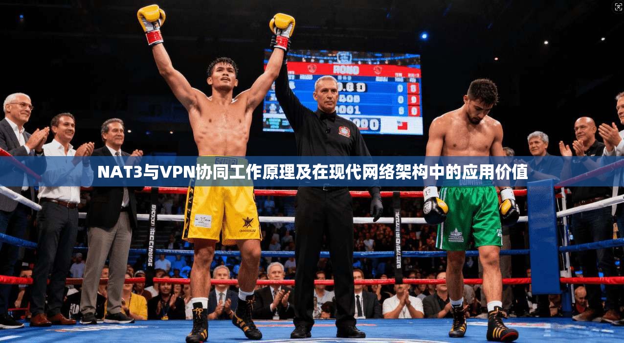 NAT3与VPN协同工作原理及在现代网络架构中的应用价值
