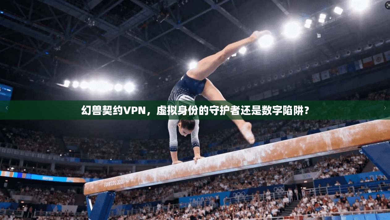 幻兽契约VPN,虚拟身份的守护者还是数字陷阱?