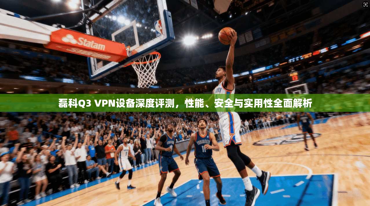 磊科Q3 VPN设备深度评测，性能、安全与实用性全面解析
