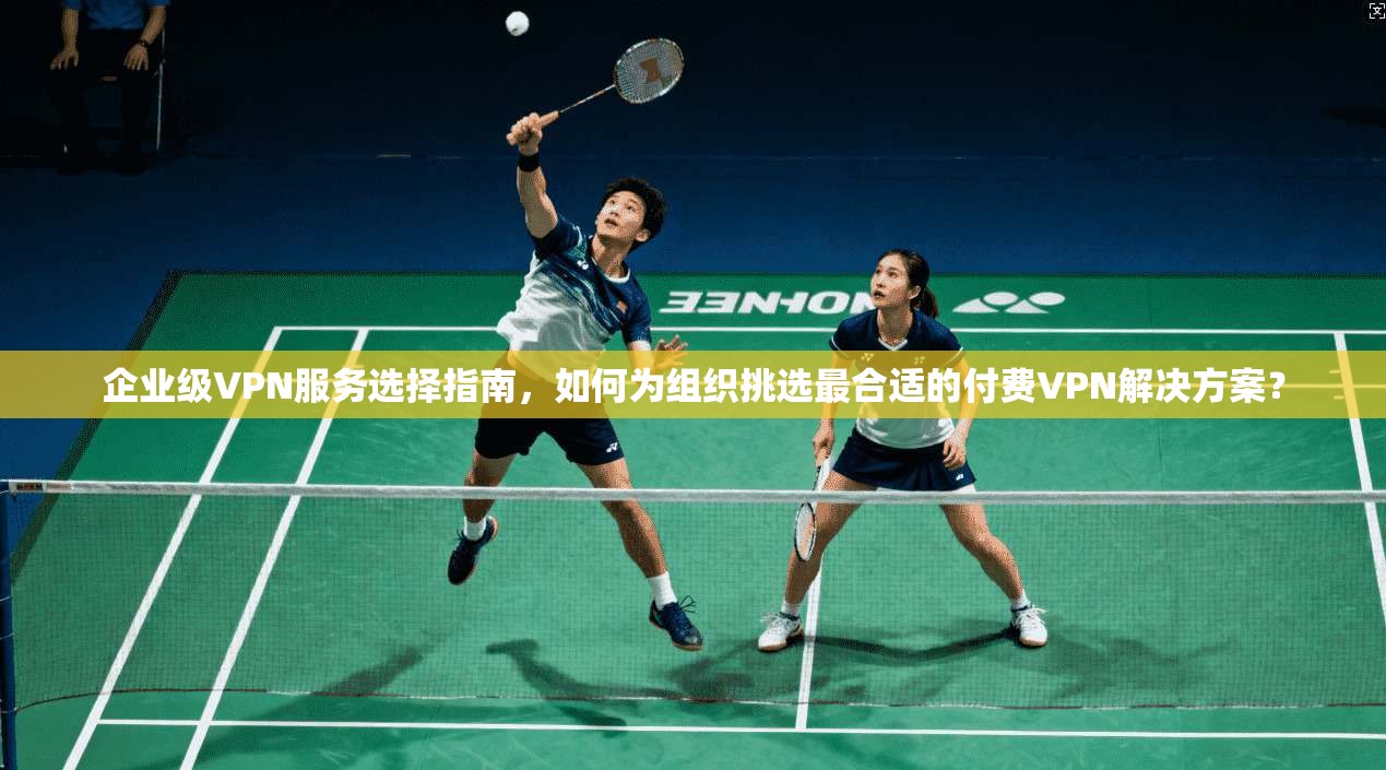 企业级VPN服务选择指南,如何为组织挑选最合适的付费VPN解决方案?