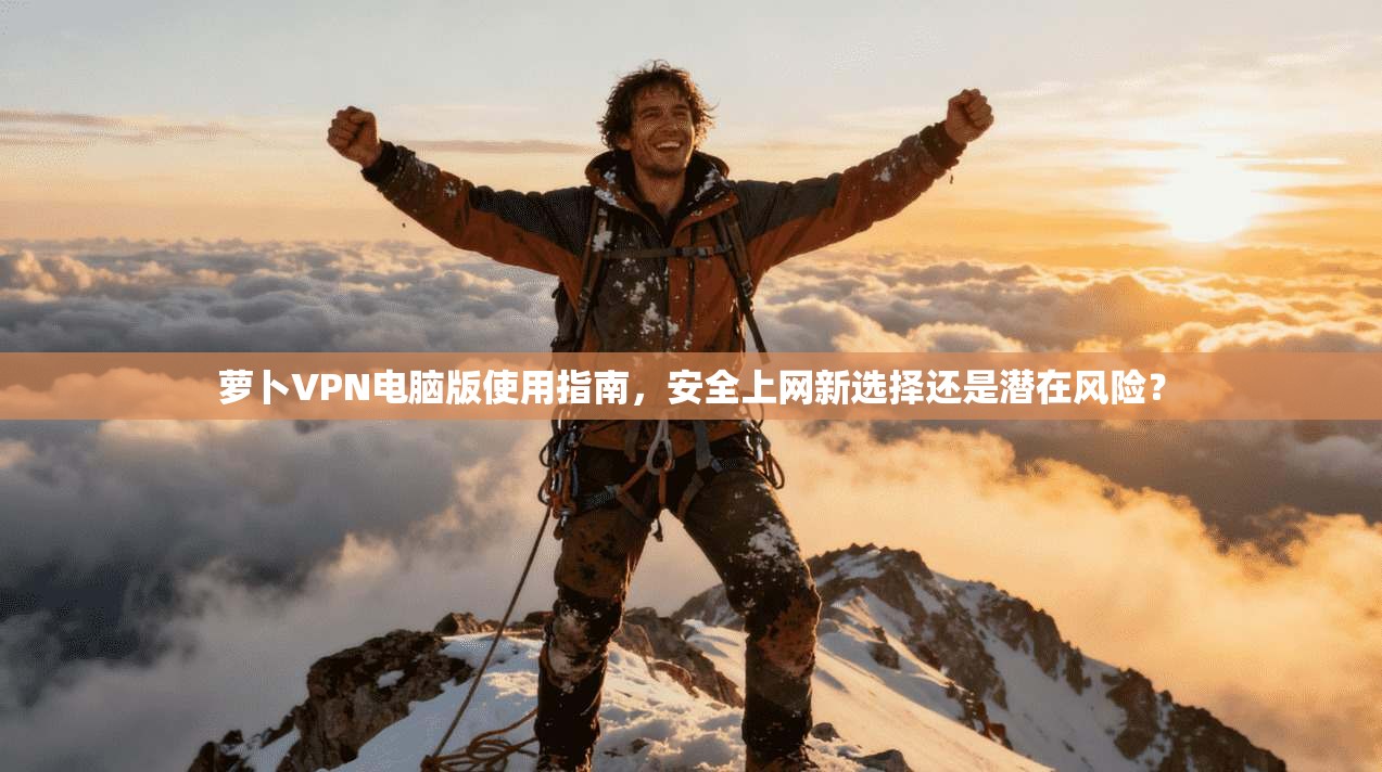 萝卜VPN电脑版使用指南,安全上网新选择还是潜在风险?