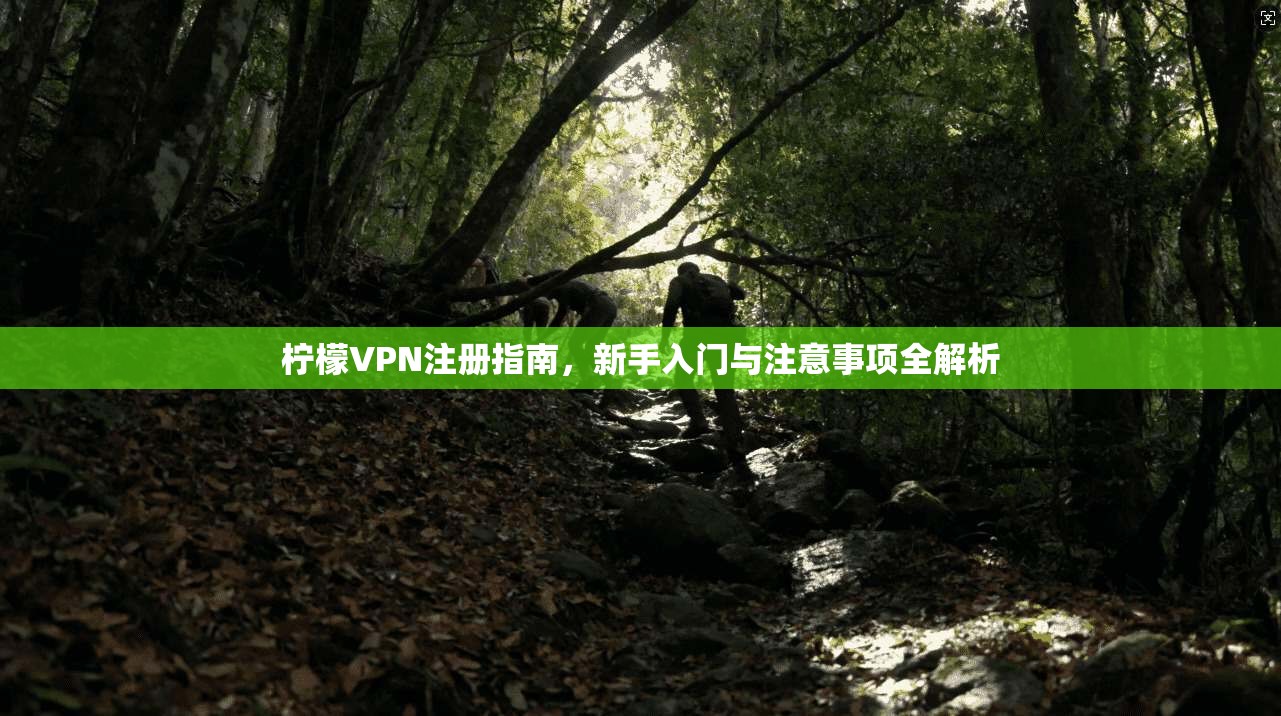 柠檬VPN注册指南，新手入门与注意事项全解析
