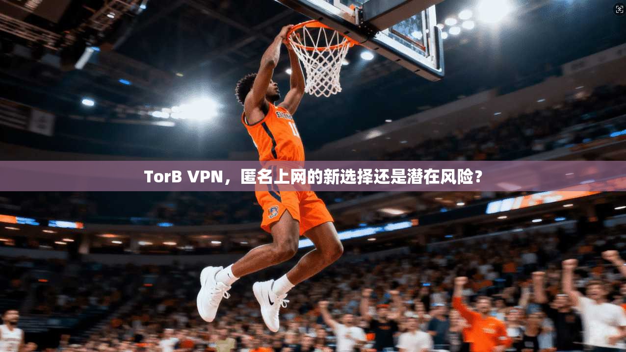 TorB VPN，匿名上网的新选择还是潜在风险？
