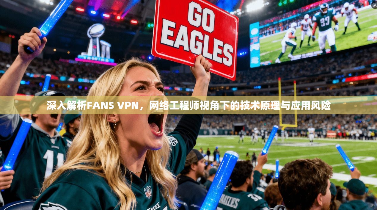 深入解析FANS VPN，网络工程师视角下的技术原理与应用风险