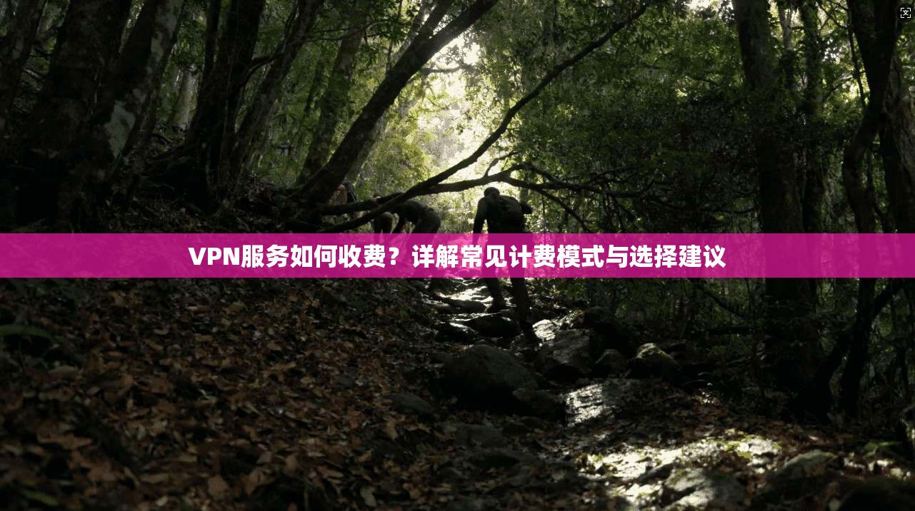 VPN服务如何收费？详解常见计费模式与选择建议