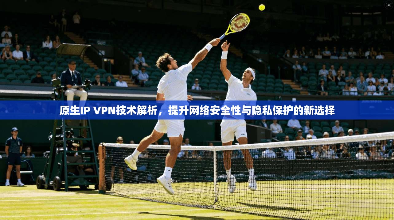 原生IP VPN技术解析，提升网络安全性与隐私保护的新选择