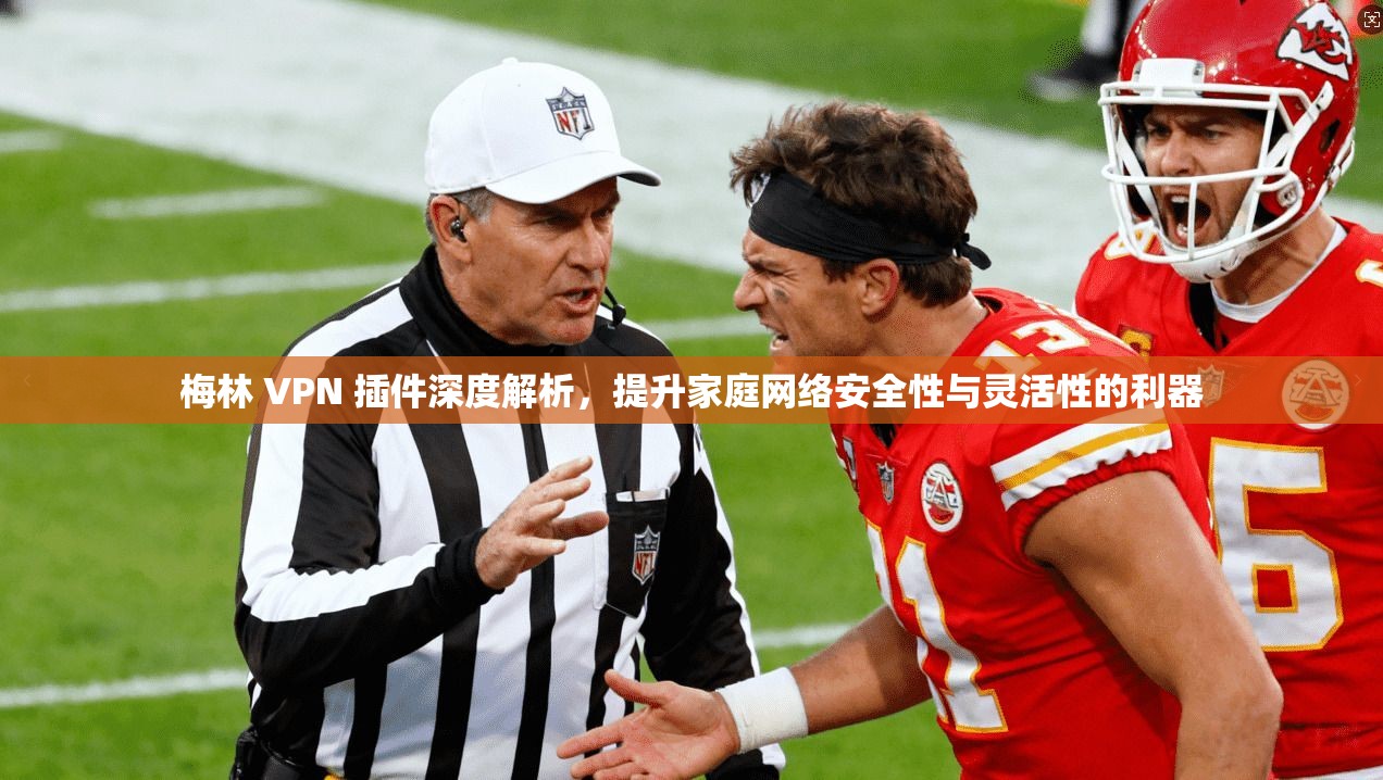 梅林 VPN 插件深度解析,提升家庭网络安全性与灵活性的利器