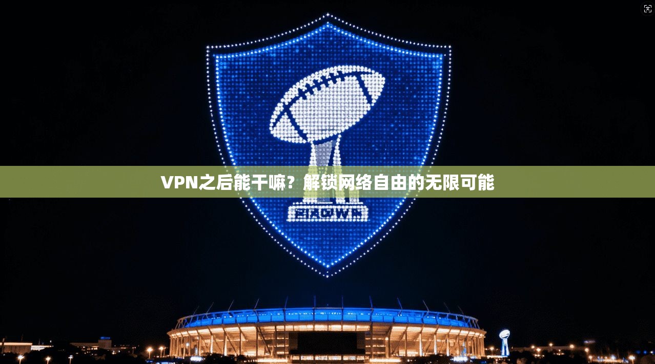 VPN之后能干嘛？解锁网络自由的无限可能