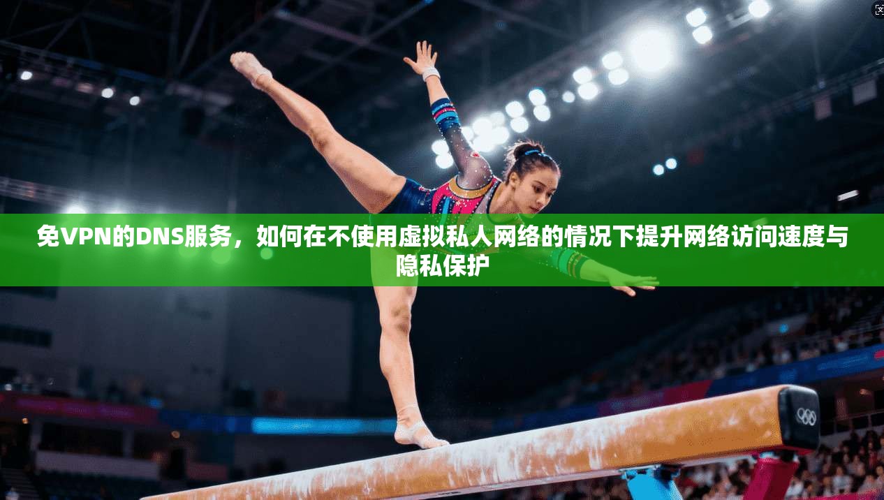 免VPN的DNS服务,如何在不使用虚拟私人网络的情况下提升网络访问速度与隐私保护