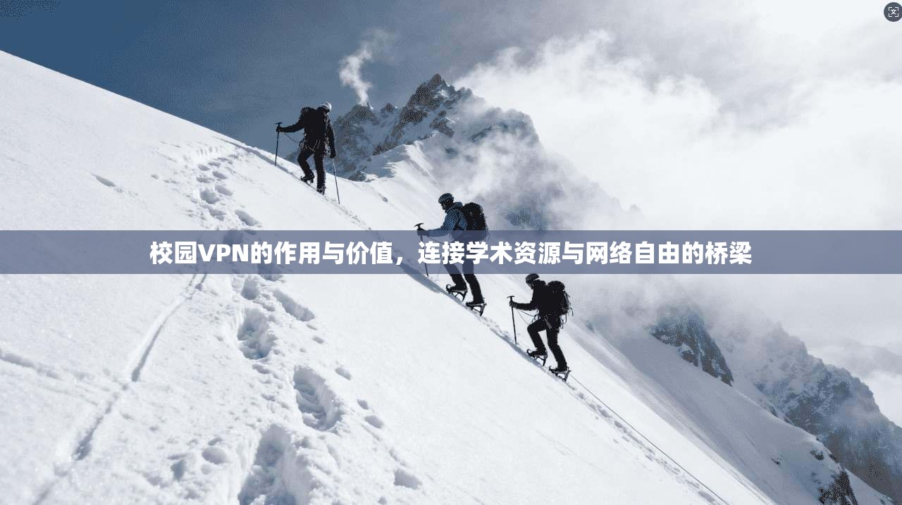 校园VPN的作用与价值，连接学术资源与网络自由的桥梁