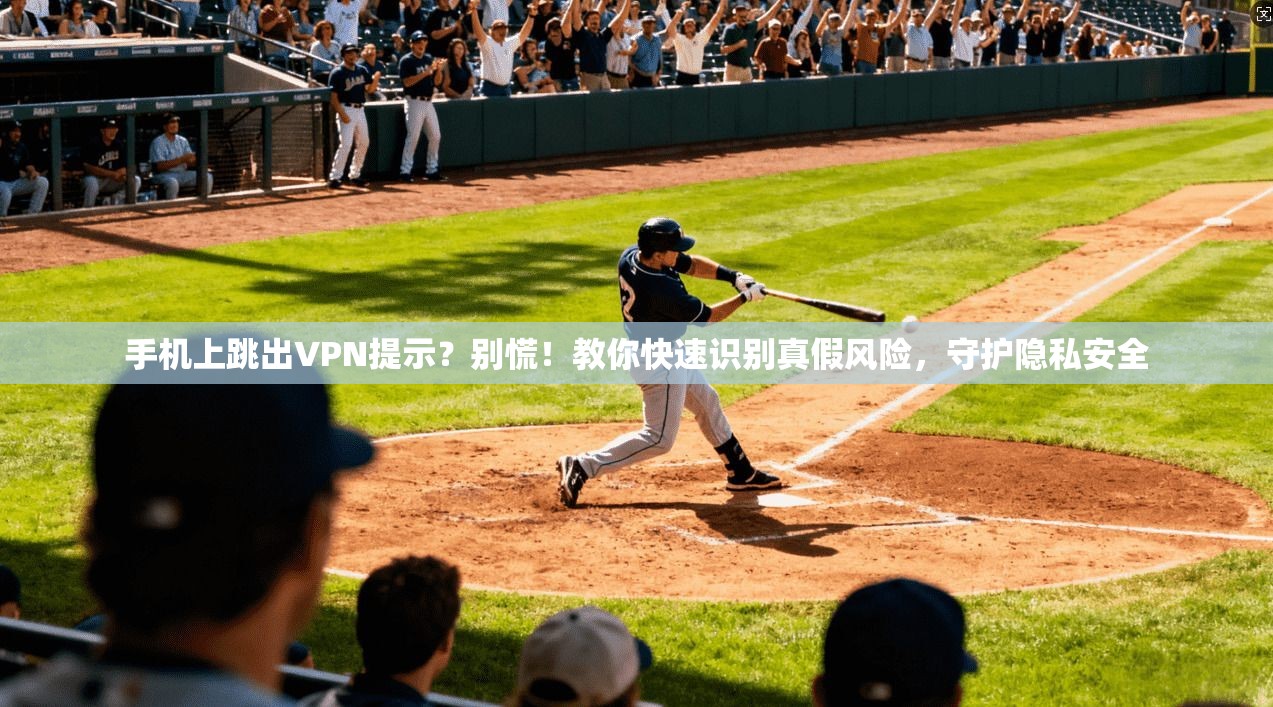 手机上跳出VPN提示？别慌！教你快速识别真假风险，守护隐私安全