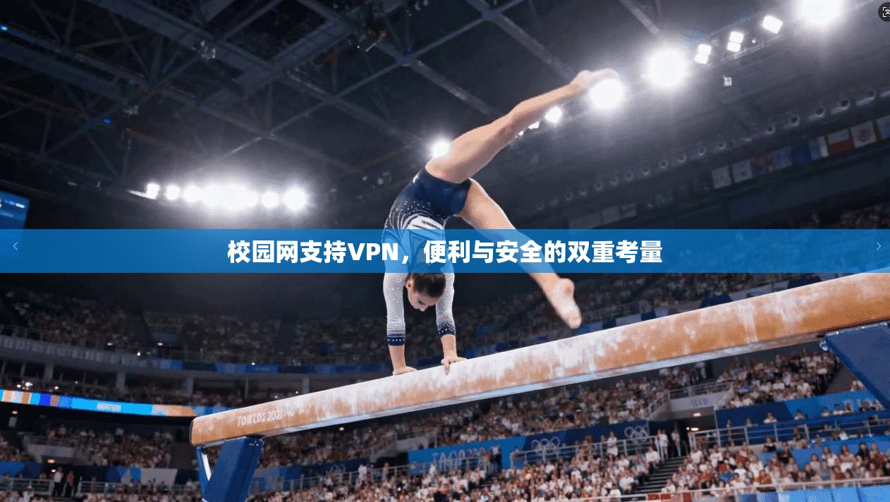 校园网支持VPN，便利与安全的双重考量