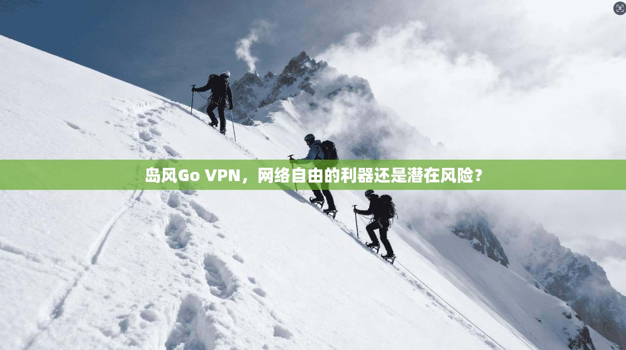 岛风Go VPN,网络自由的利器还是潜在风险?