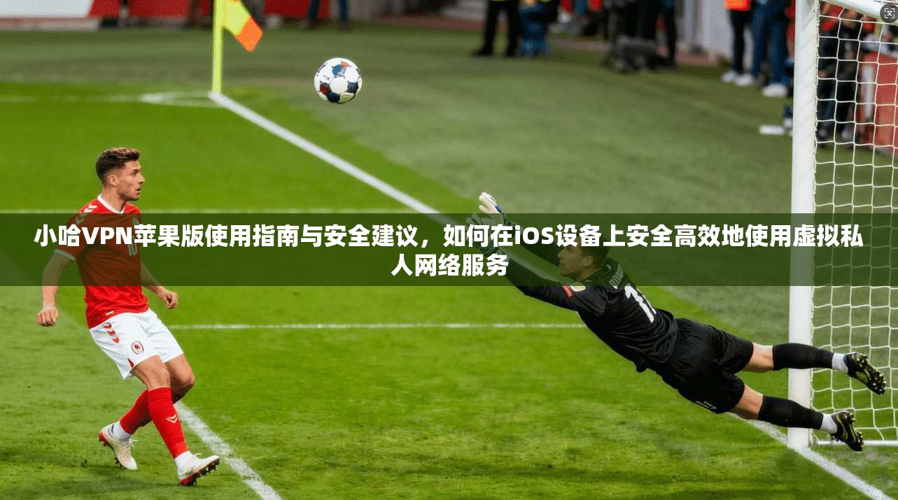 小哈VPN苹果版使用指南与安全建议，如何在iOS设备上安全高效地使用虚拟私人网络服务