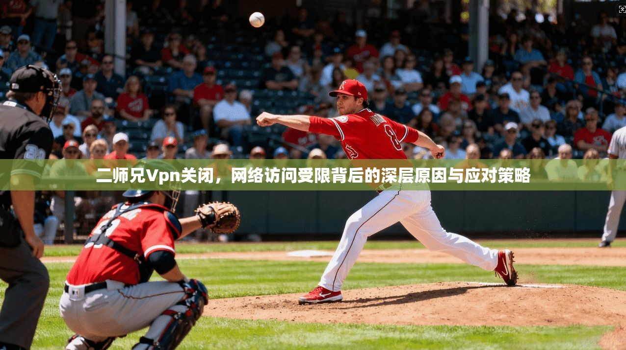 二师兄Vpn关闭，网络访问受限背后的深层原因与应对策略