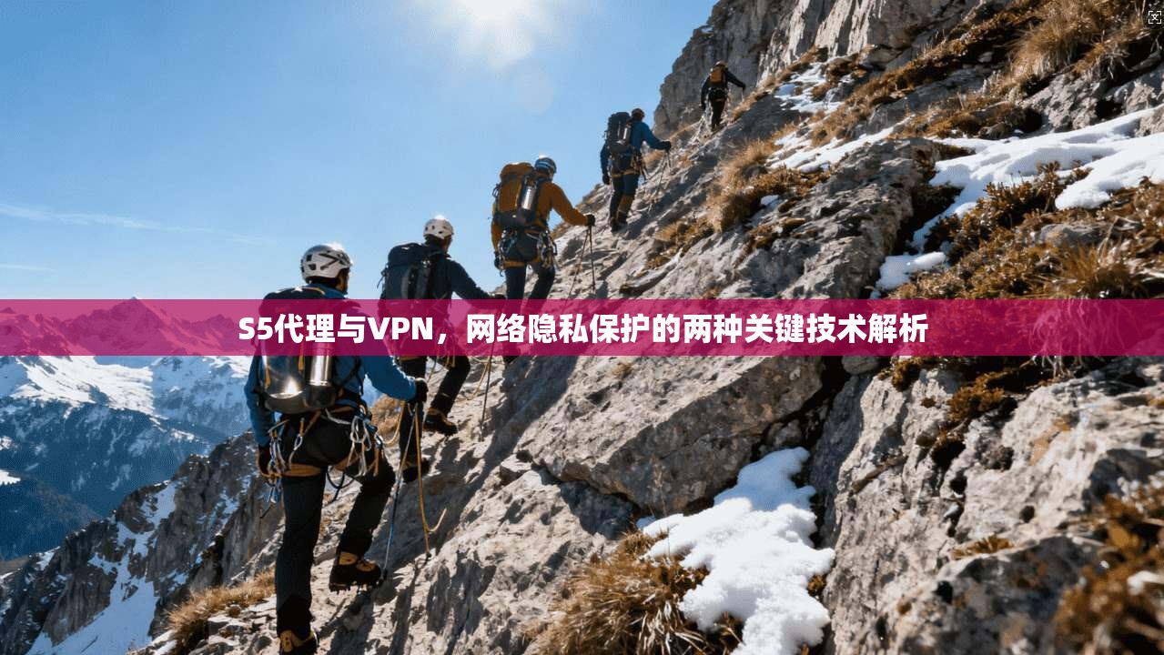 S5代理与VPN，网络隐私保护的两种关键技术解析