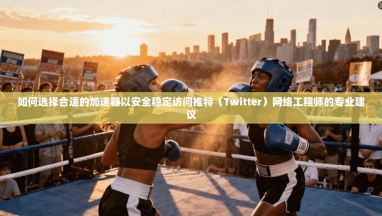 如何选择合适的加速器以安全稳定访问推特（Twitter）网络工程师的专业建议