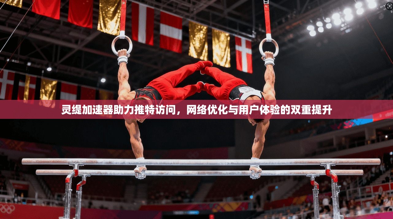 灵缇加速器助力推特访问，网络优化与用户体验的双重提升
