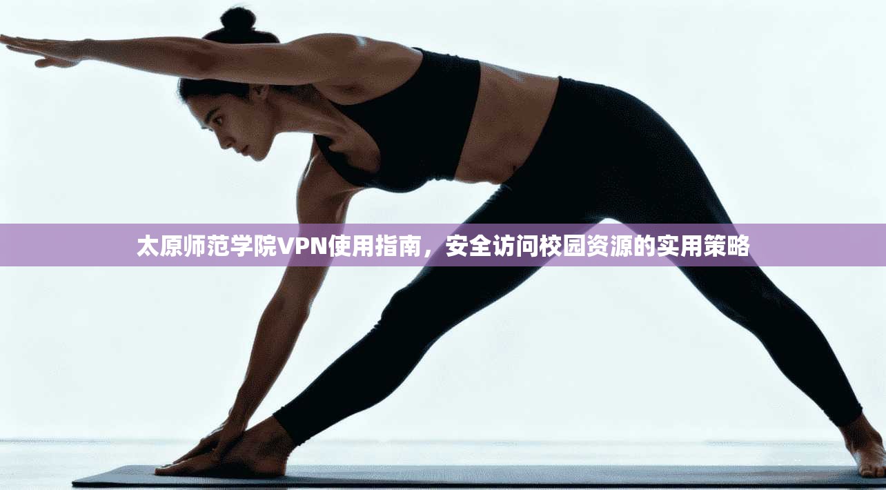 太原师范学院VPN使用指南，安全访问校园资源的实用策略