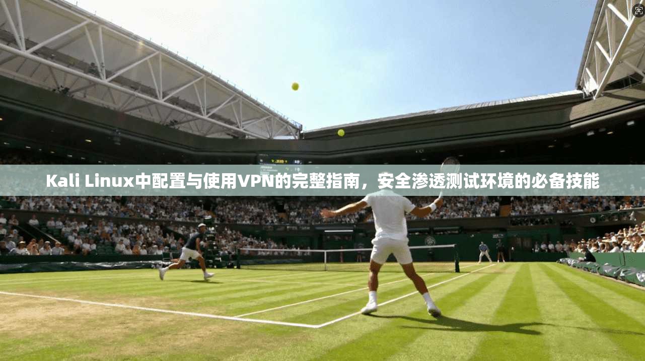 Kali Linux中配置与使用VPN的完整指南,安全渗透测试环境的必备技能