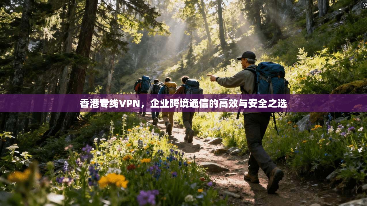 香港专线VPN，企业跨境通信的高效与安全之选