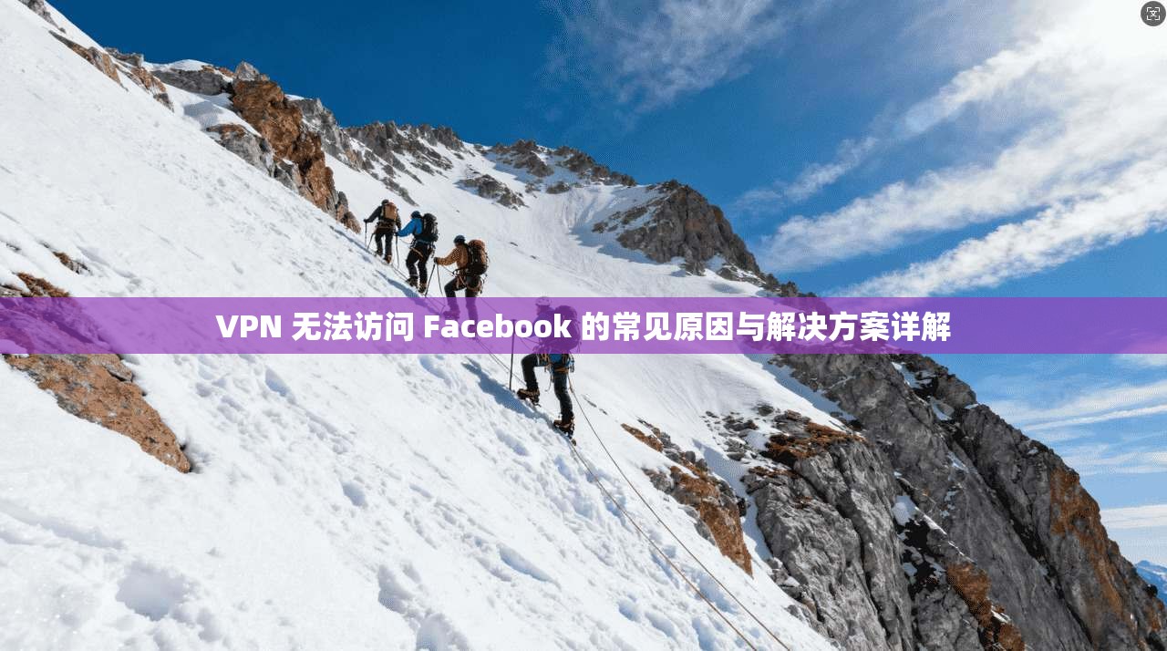 VPN 无法访问 Facebook 的常见原因与解决方案详解