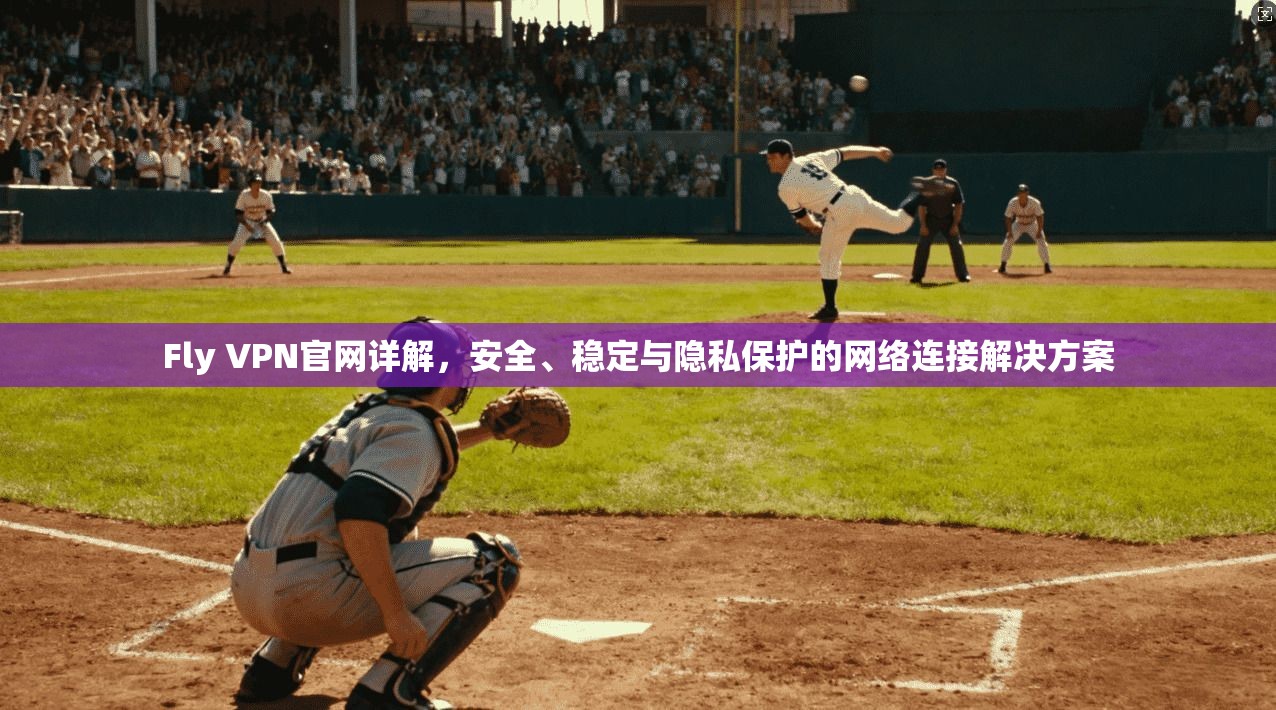 Fly VPN官网详解，安全、稳定与隐私保护的网络连接解决方案