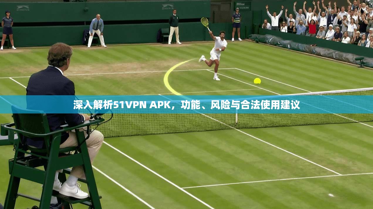 深入解析51VPN APK，功能、风险与合法使用建议