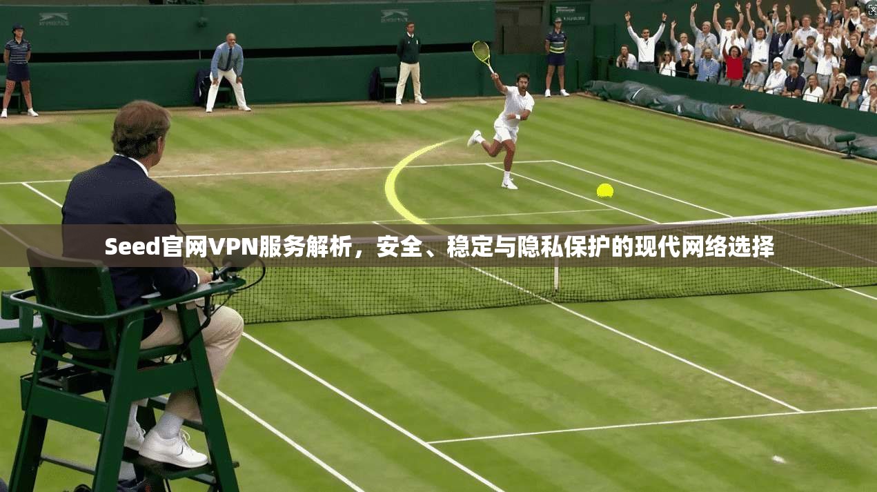 Seed官网VPN服务解析，安全、稳定与隐私保护的现代网络选择